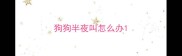 狗狗半夜叫怎么办