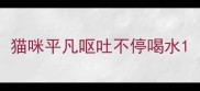 猫咪平凡呕吐不停喝水