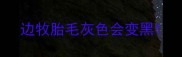 边牧胎毛灰色会变黑