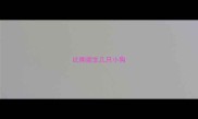 比熊能生几只小狗