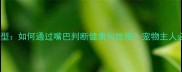 哈士奇独特嘴型如何通过嘴巴判断健康与性格宠物主人必看养护指南
