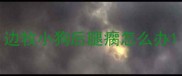 边牧小狗后腿瘸怎么办