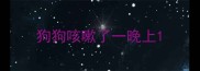 狗狗咳嗽了一晚上