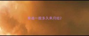 泰迪一般多久来月经