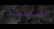 小狗打完疫苗打针会失效吗
