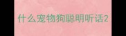 什么宠物狗聪明听话