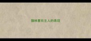 猫咪喜欢主人的表现