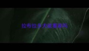 拉布拉多犬能看家吗