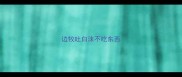 边牧吐白沫不吃东西