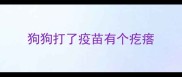 狗狗打了疫苗有个疙瘩