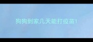 狗狗到家几天能打疫苗