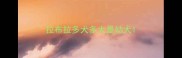 拉布拉多犬多大是幼犬