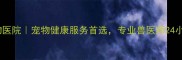 北京派多格宠物医院宠物健康服务首选专业兽医师24小时守护毛孩子