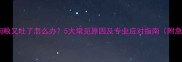 狗狗吃了狗粮又吐了怎么办5大常见原因及专业应对指南附急救措施