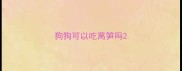 狗狗可以吃莴笋吗