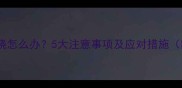 小狗接种疫苗后发烧怎么办5大注意事项及应对措施附症状判断指南