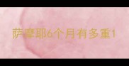 萨摩耶6个月有多重