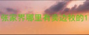 张家界哪里有卖边牧的