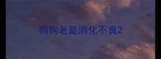狗狗老是消化不良