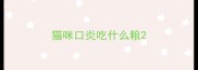 猫咪口炎吃什么粮