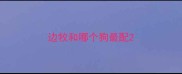 边牧和哪个狗最配
