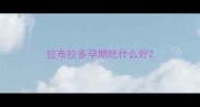 拉布拉多孕期吃什么好