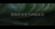 狗狗怀孕半个月的反应