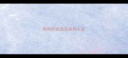 狗狗把我强流浪狗小说