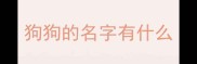 狗狗的名字有什么