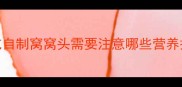 科学喂养指南长期给狗狗吃自制窝窝头需要注意哪些营养搭配附详细食谱与禁忌清单