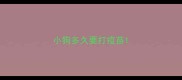 小狗多久要打疫苗