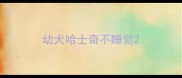 幼犬哈士奇不睡觉