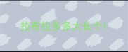 拉布拉多多大长个