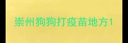 崇州狗狗打疫苗地方
