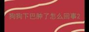 狗狗下巴肿了怎么回事