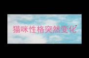 猫咪性格突然变化