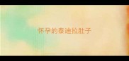 怀孕的泰迪拉肚子