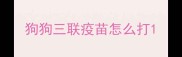 狗狗三联疫苗怎么打