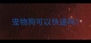 宠物狗可以快递吗