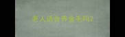 老人适合养金毛吗