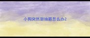 小狗突然腿抽筋怎么办