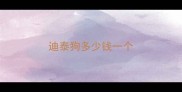 迪泰狗多少钱一个