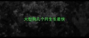 大型狗几个月生长最快