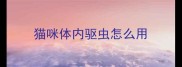 猫咪体内驱虫怎么用