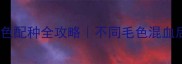 边境牧羊犬颜色配种全攻略不同毛色混血后代优缺点大