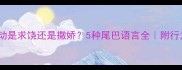 猫咪尾巴摆动是求饶还是撒娇5种尾巴语言全附行为纠正指南