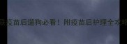 四联疫苗后遛狗必看附疫苗后护理全攻略