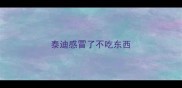 泰迪感冒了不吃东西
