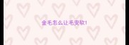 金毛怎么让毛变软