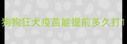 狗狗狂犬疫苗能提前多久打